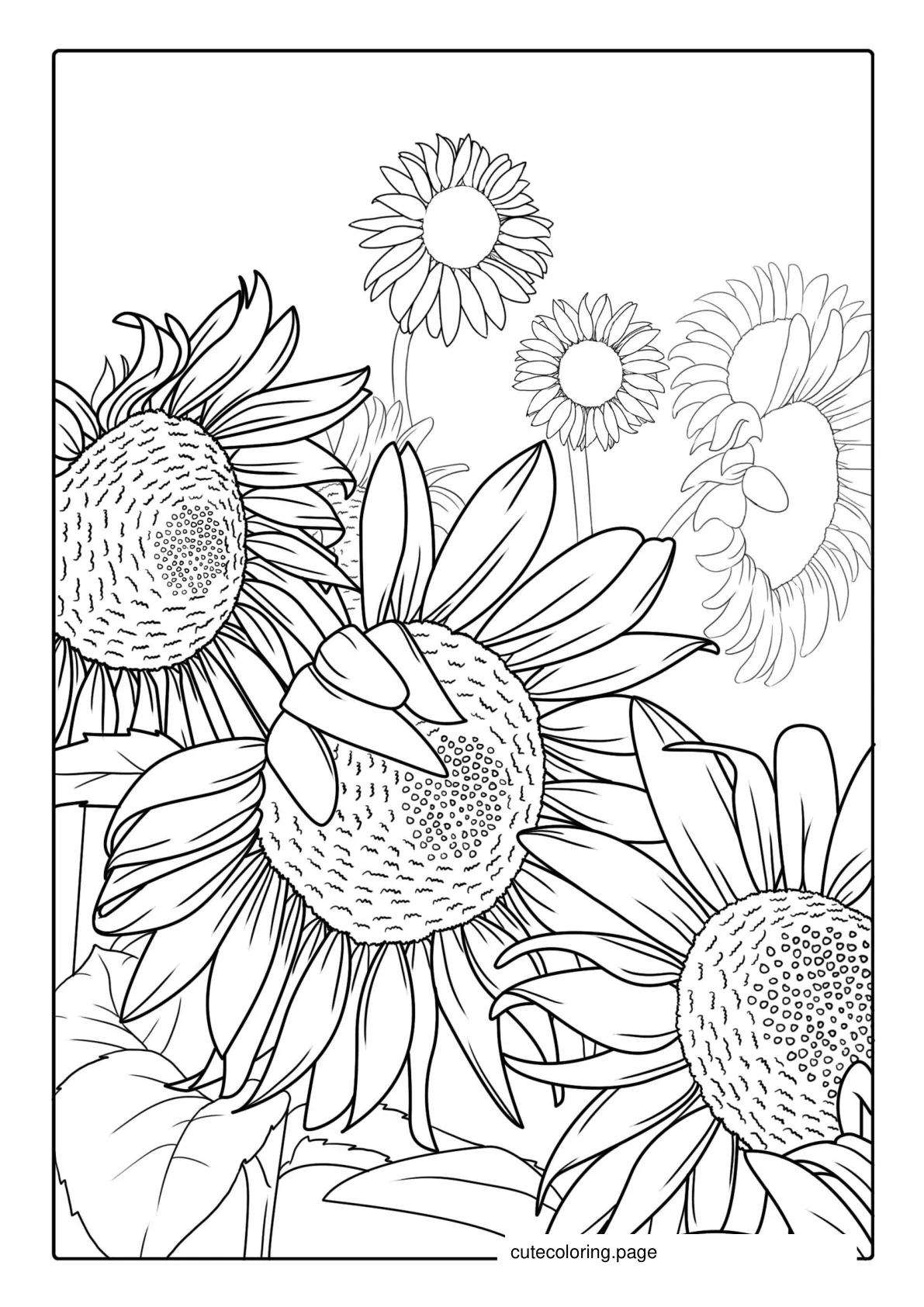 Detailed Sunflowers For Coloring coloring page