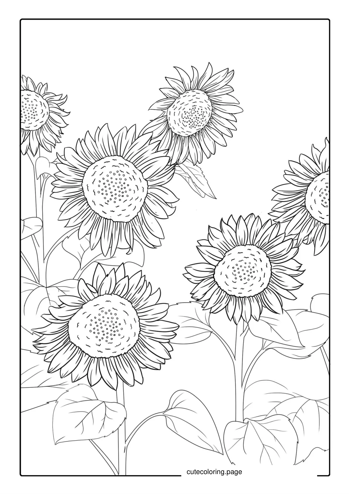 Field Of Sunflowers Coloring Page coloring page