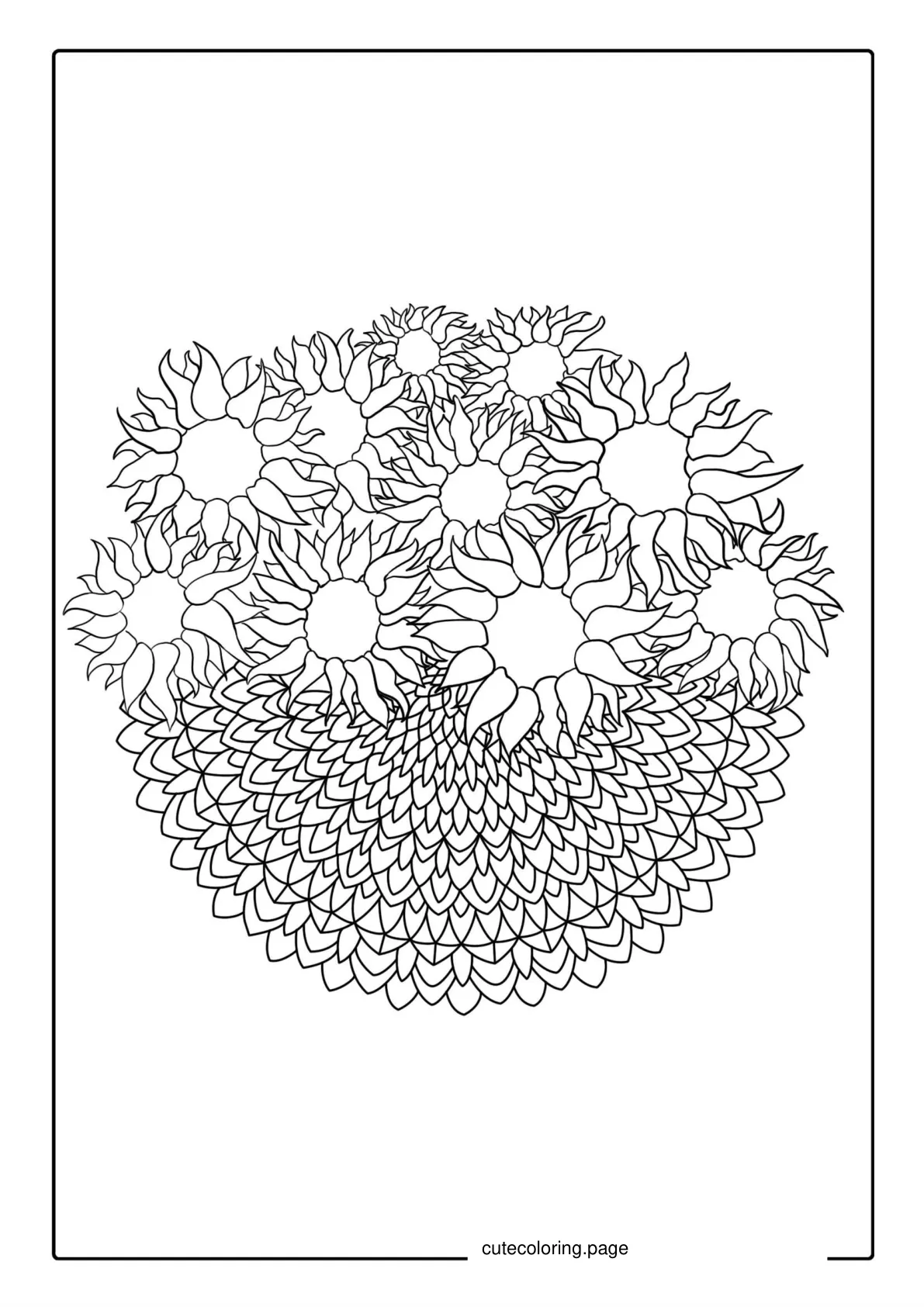 Mandala Coloring Sheet For Adults coloring page