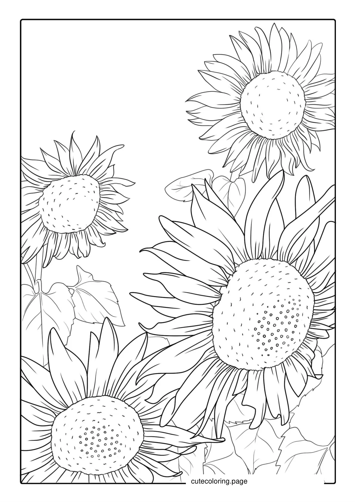 Multiple Sunflowers In Field Coloring Page coloring page