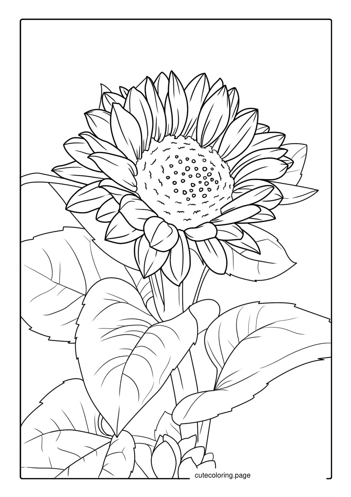 Sunflower To Color coloring page