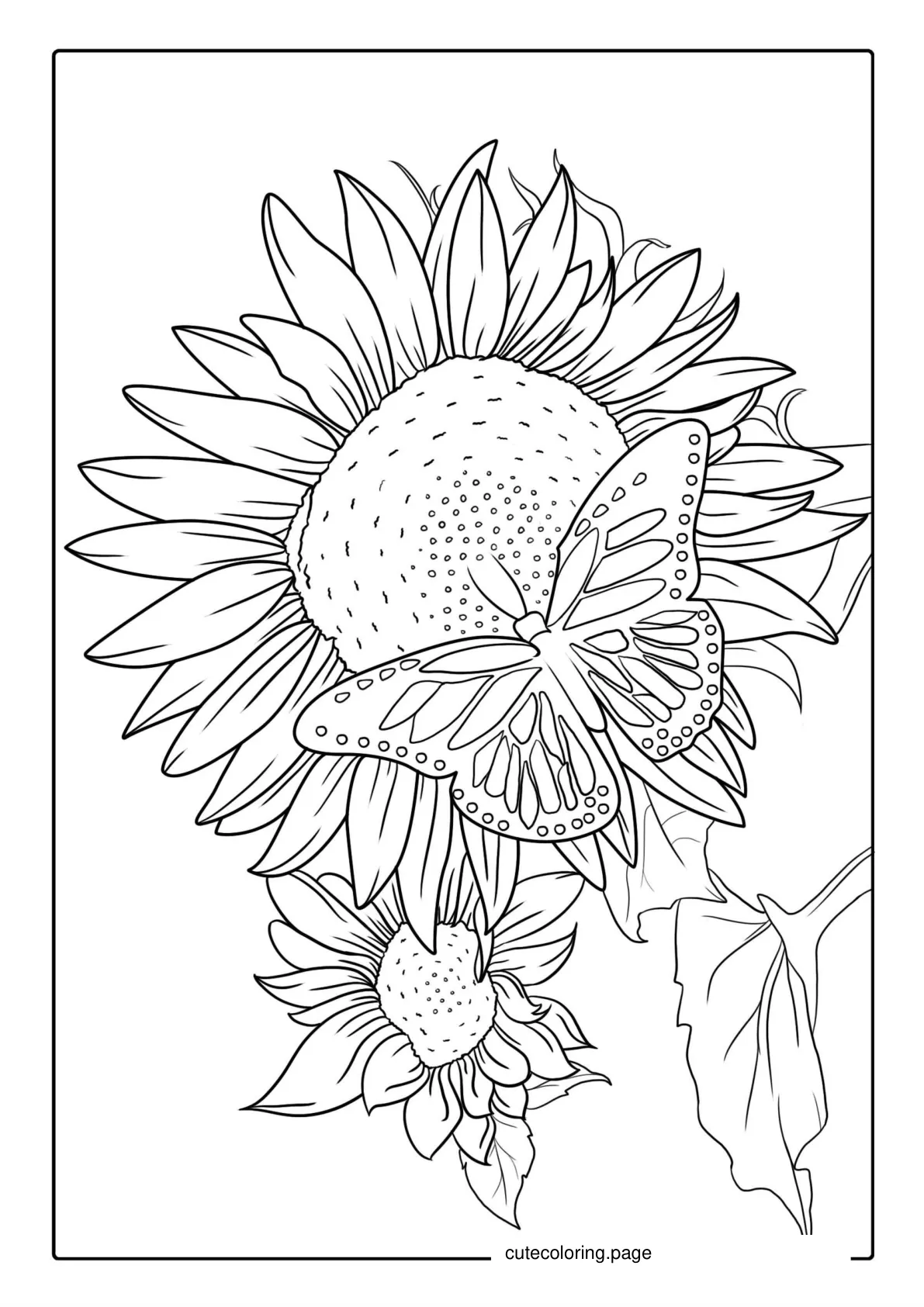 Sunflower With Butterfly Coloring Page coloring page