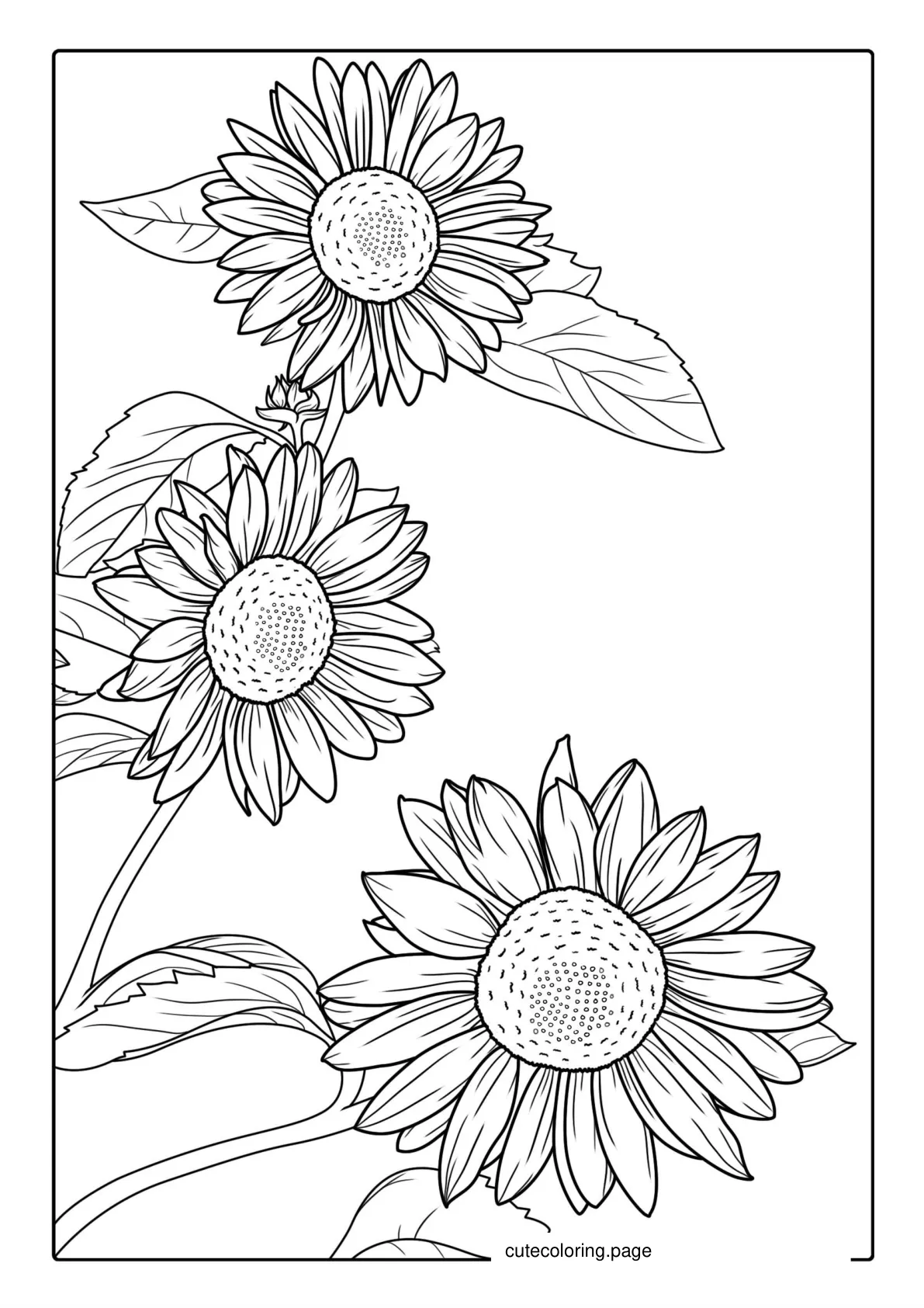 Sunflowers Blowing In The Wind For Coloring coloring page