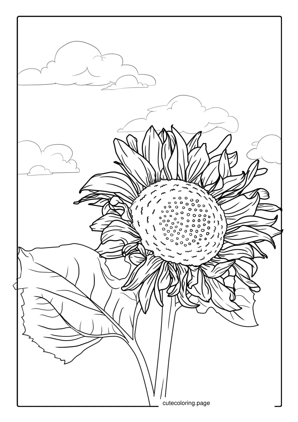 Sunflowers During A Cloudy Day coloring page