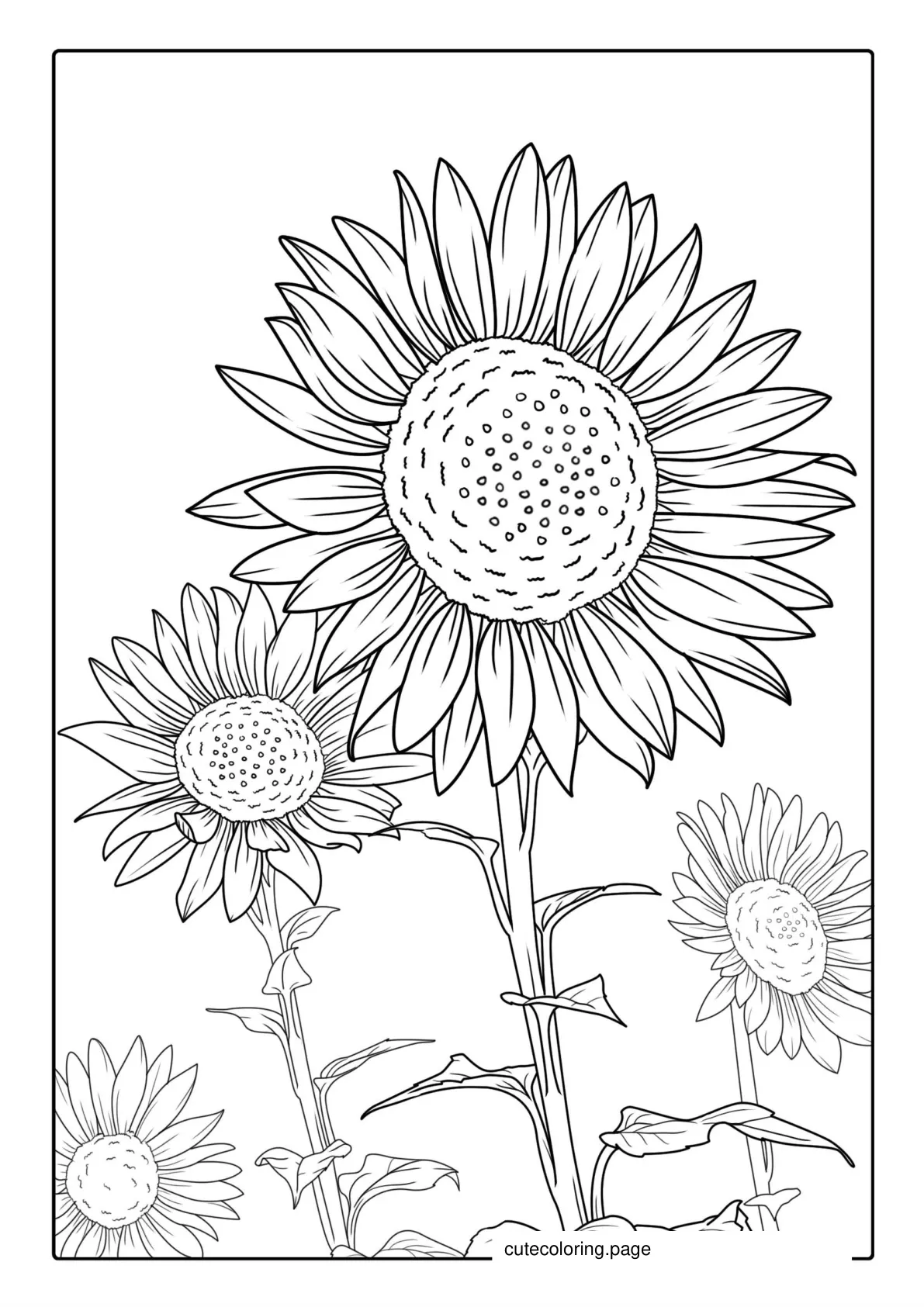 Tall Standing Sunflowers Coloring Sheet coloring page