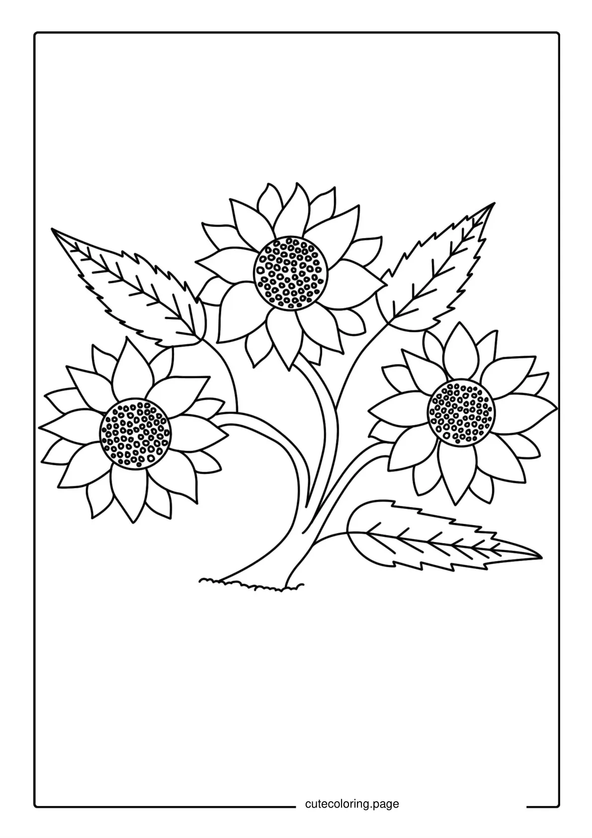 Three Sunflowers In Field Coloring coloring page