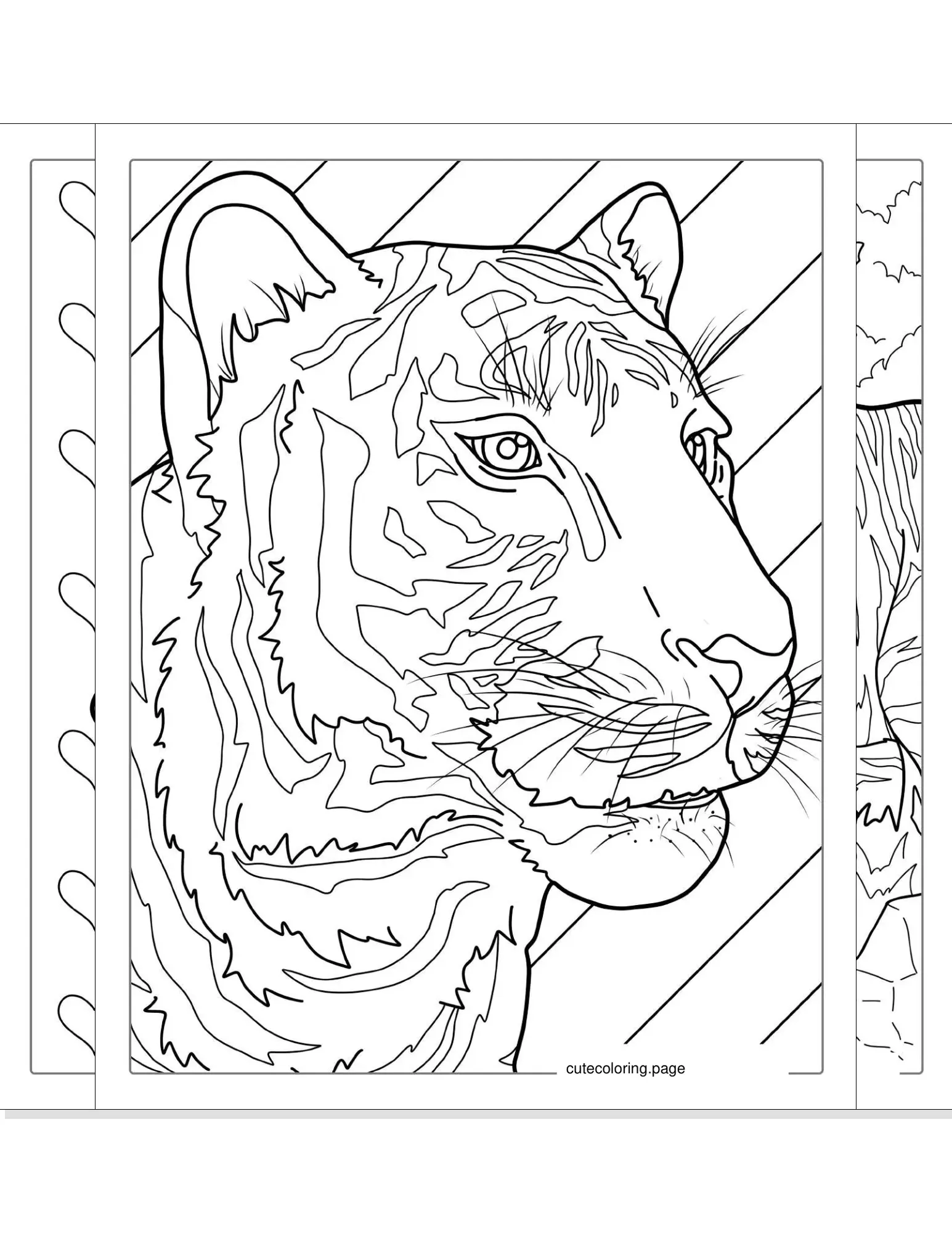 tiger coloring pages coloring page