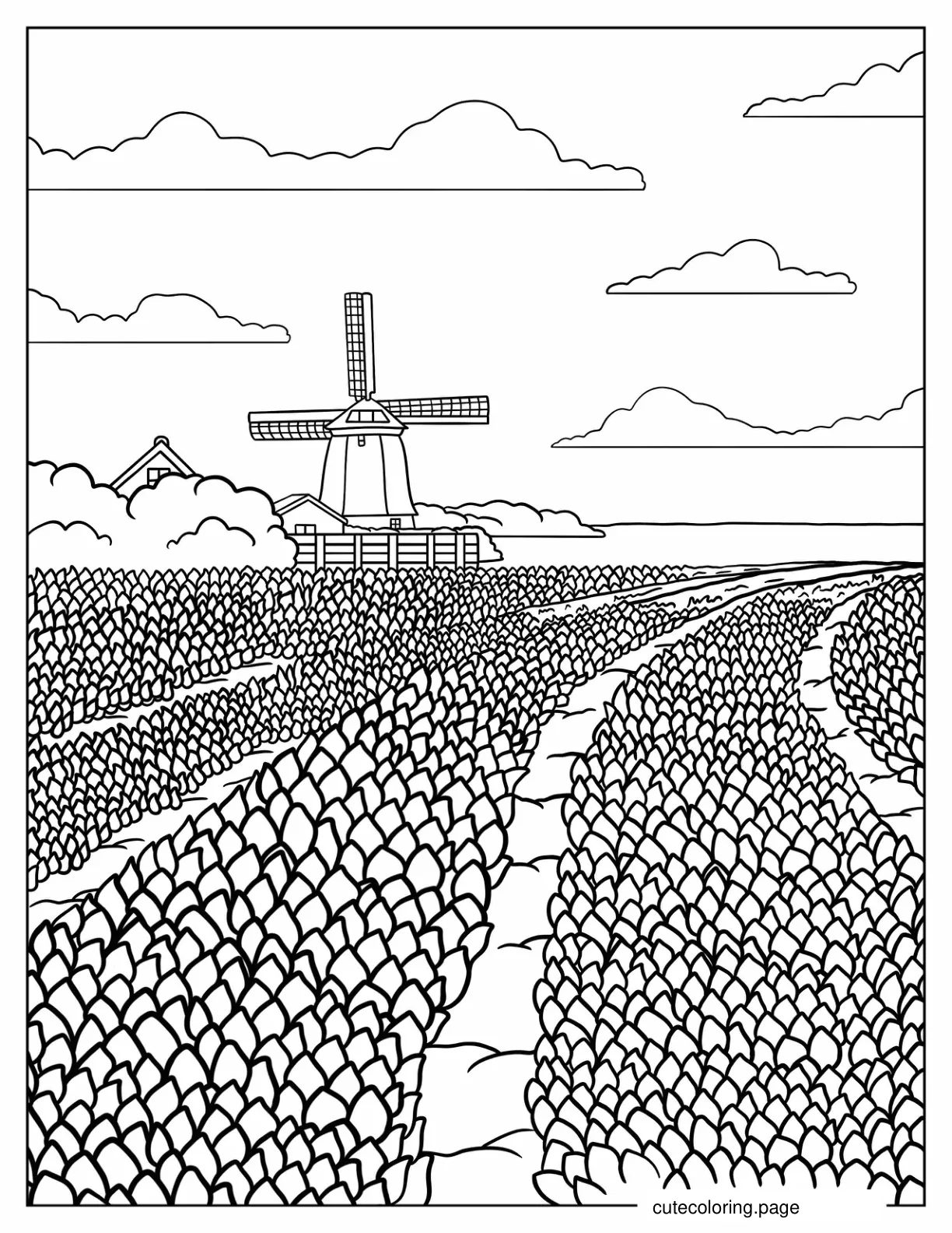 Dutch Tulip Field To Color coloring page