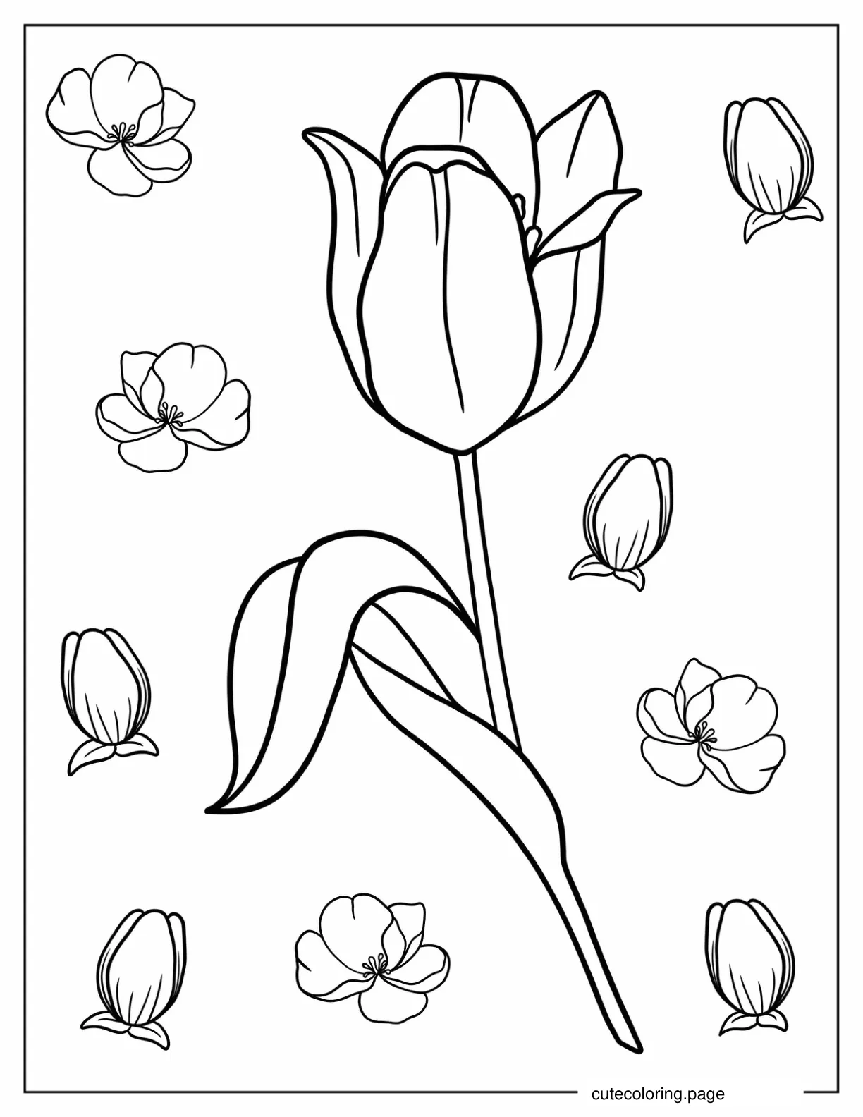 Easy Outline Of a Single Tulip coloring page