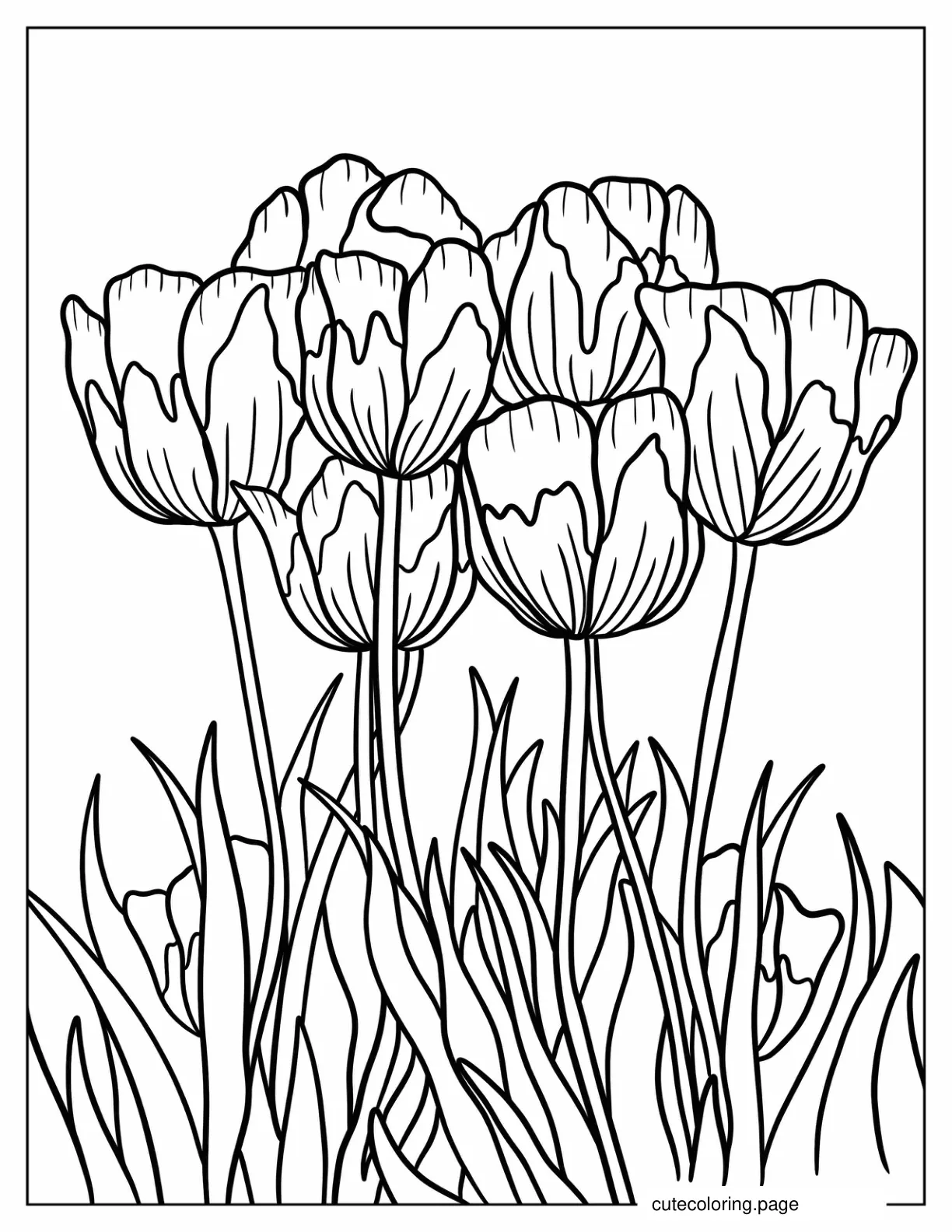 Large Detailed Tulips To Color coloring page