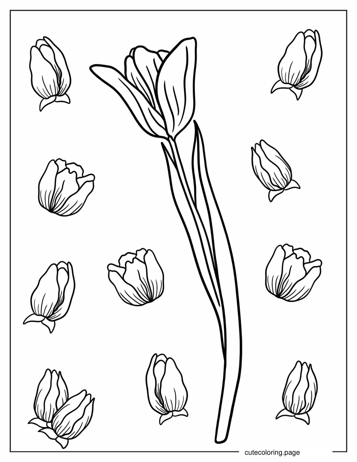 Simple Tulip Flower Coloring Page coloring page